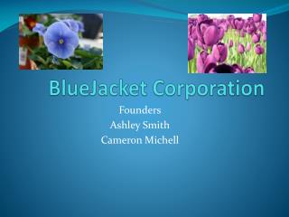 BlueJacket Corporation