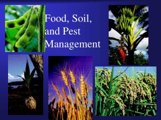 Food, Soil, and Pest Management