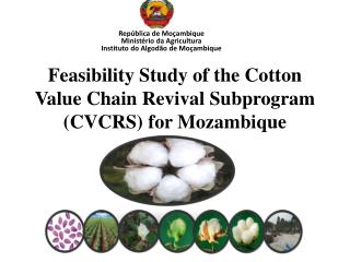 Feasibility Study of the Cotton Value Chain Revival Subprogram (CVCRS) for Mozambique