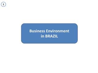 Business Environment i n BRAZIL