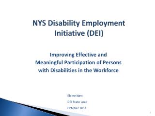NYS Disability Employment Initiative (DEI)