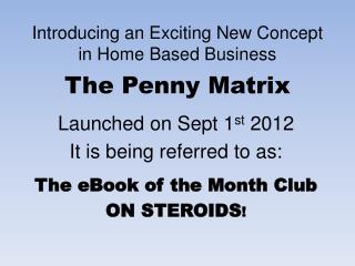 Introducing an Exciting New Concept in Home Based Business The Penny Matrix