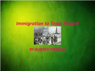 Immigration to Texas Project