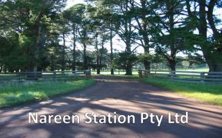 Nareen Station Pty Ltd