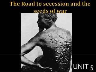 The Road to secession and the seeds of war