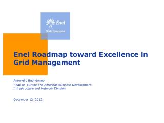 Enel Roadmap toward Excellence in Grid Management