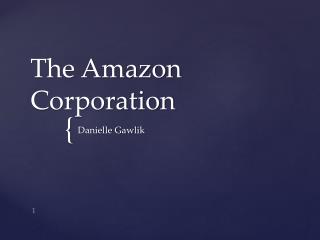 The Amazon Corporation