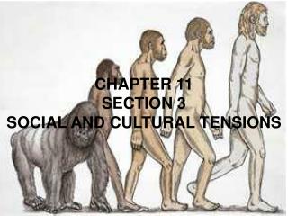 CHAPTER 11 SECTION 3 SOCIAL AND CULTURAL TENSIONS