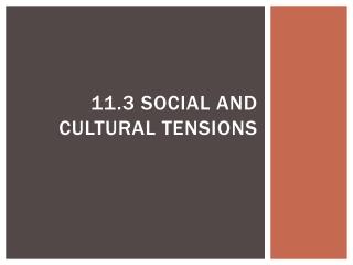 11.3 Social and Cultural Tensions