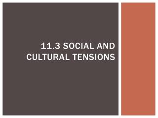 11.3 Social and Cultural Tensions