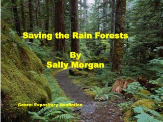 Saving the Rain Forests By Sally Morgan