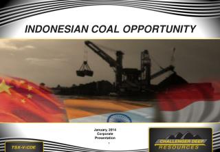 INDONESIAN COAL OPPORTUNITY