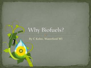 Why Biofuels ?