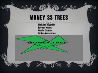 MONEY $$ TREES