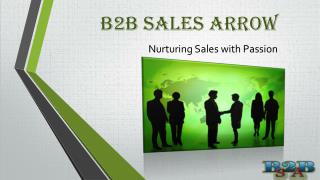 B 2 B Sales Arrow Nurturing Sales with Passion