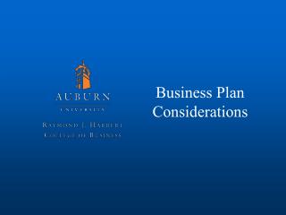 Business Plan Considerations
