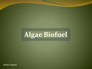 Algae Biofuel