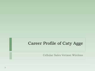 Career Profile of Caty Agge