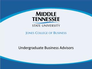 Undergraduate Business Advisors