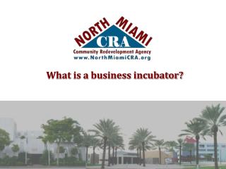 What is a business incubator?