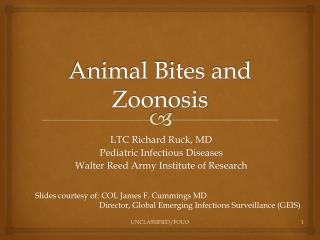 Animal Bites and Zoonosis