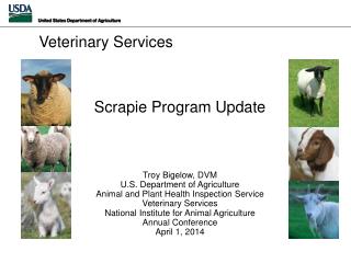 Scrapie Program Update Troy Bigelow, DVM U.S . Department of Agriculture Animal and Plant Health Inspection Service Vete