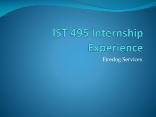 IST 495 Internship Experience