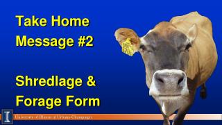 Take Home Message #2 Shredlage &amp; Forage Form