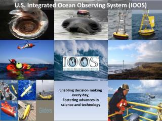 U.S. Integrated Ocean Observing System (IOOS)