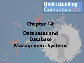 Chapter 14: Databases and Database Management Systems