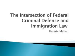 The Intersection of Federal Criminal Defense and Immigration Law