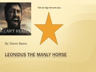 Leonidus the Manly Horse