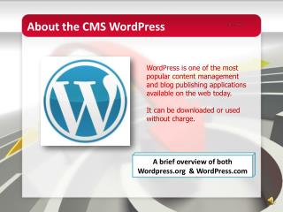 About the CMS WordPress