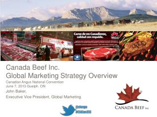Canada Beef Inc. Global Marketing Strategy Overview