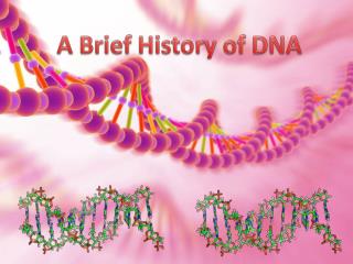 A Brief History of DNA