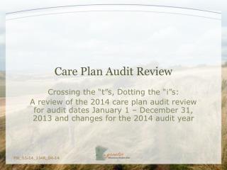 Care Plan Audit Review