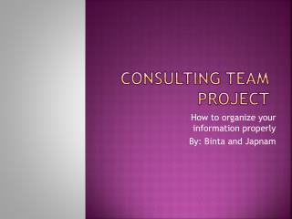 CONSULTING TEAM PROJECT