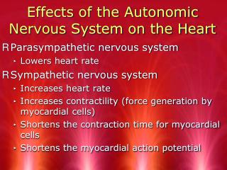 Effects of the Autonomic Nervous System on the Heart