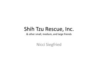 Shih Tzu Rescue, Inc. &amp; other small, medium, and large friends