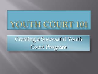 Youth Court 101