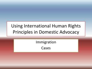 Using International Human Rights Principles in Domestic Advocacy