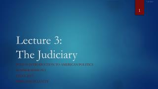 Lecture 3: The Judiciary