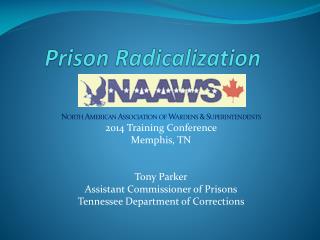 Prison Radicalization