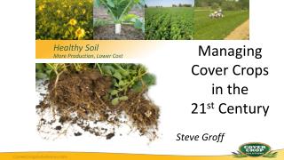 Managing Cover Crops in the 21 st Century Steve Groff