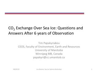 CO 2 Exchange Over Sea Ice: Questions and Answers After 6 years of Observation