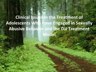 Clinical Issues in the Treatment of Adolescents Who Have Engaged in Sexually Abusive Behavior and the DJJ Treatment Mode