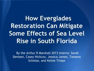 How Everglades Restoration Can Mitigate Some Effects of Sea Level Rise in South Florida