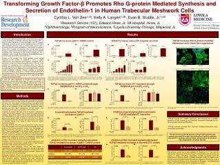 Transforming Growth Factor-? Promotes Rho G-protein Mediated Synthesis and Secretion of Endothelin-1 in Human Trabecul