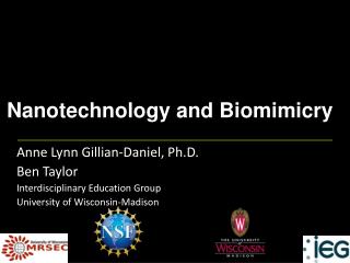 Nanotechnology and Biomimicry