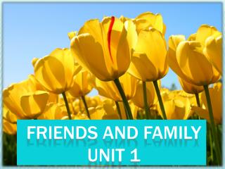 Friends and Family Unit 1